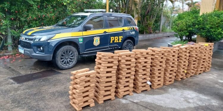 Homem está preso transportando mais de 300 kg de maconha na Via Dutra, em Itatiaia Homem está preso transportando mais de 300 kg de maconha na Via Dutra, em Itatiaia