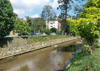 Vídeo mostra crianças tomando banho no Rio Piabanha em Petrópolis
