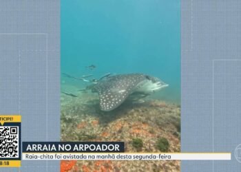 VÍDEOS: Bom Dia Rio de terça, 30 de dezembro de 2025