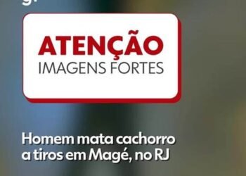 Homem mata cachorro a tiros em Magé, no RJ; VÍDEO