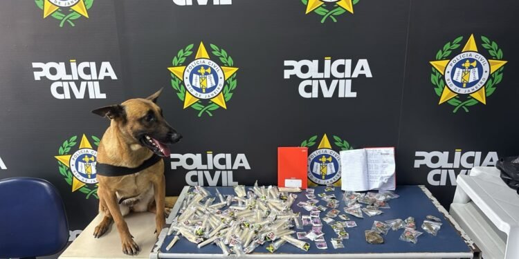 Dois jovens são presos e adolescentes apreendidos em operação da Polícia Civil em Angra dos Reis