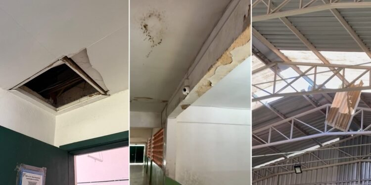 Vistoria aponta infiltrações e mofo em escola municipal de Petrópolis Vistoria aponta infiltrações e mofo em escola municipal de Petrópolis