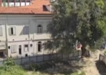 Moradores do Flamengo protestam contra derrubada de 71 árvores em terreno tombado para construção de prédio