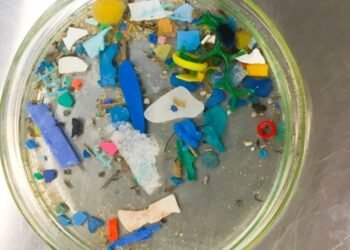 Microplásticos de glitter do Carnaval são encontrados na praia do RJ 8 meses após uma festa