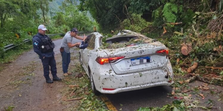 Árvore cai em cima de carro após temporal e interdita rodovia em Visconde de Mauá, em Resende