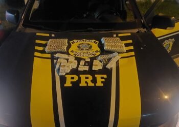 PRF apreende medicamentos para emagrecimento e anabolizantes na BR-356