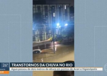 Jacaré surge na rua alagada na Zona Norte; previsão é de mais chuva