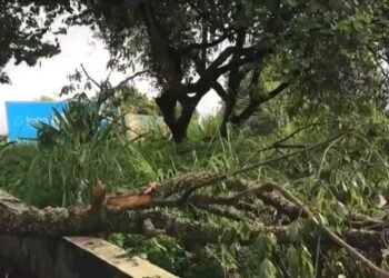 Friburgo assina novo contrato de concessão de limpeza urbana