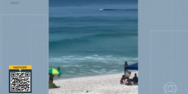 VÍDEO: baleias são avistadas na praia de Arraial do Cabo VÍDEO: baleias são avistadas na praia de Arraial do Cabo