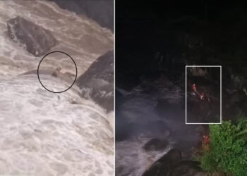 Bombeiros resgataram cão cego e surdo ilhado no meio de uma cachoeira RJ