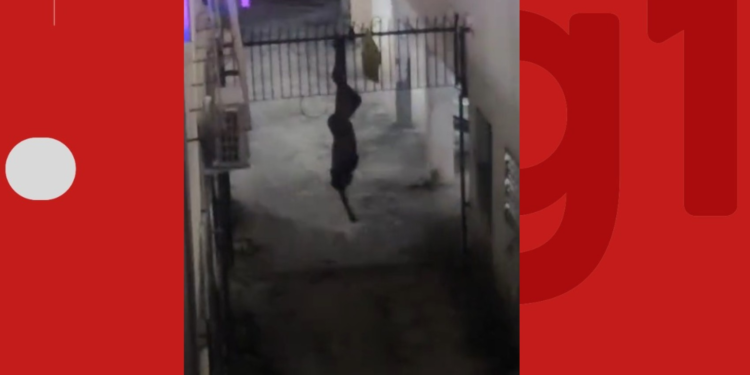 Homem suspeito de invasão prédio fica preso na grade do imóvel