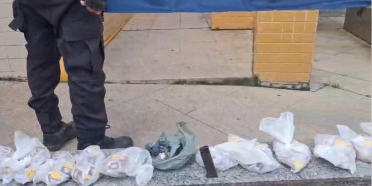 Mais de 2 mil pedras de crack são apreendidas em Três Rios