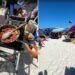 Turistas transformam areia da Praia do Forte em ‘cozinha’ de Cabo Frio Turistas transformam areia da Praia do Forte em ‘cozinha’ de Cabo Frio