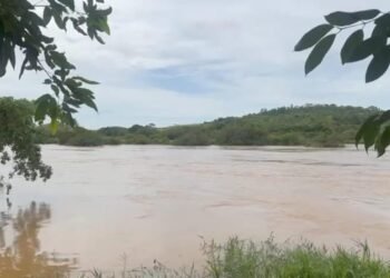 Rio Pomba atinge cota de alerta e intensificação de monitoramento em Cambuci