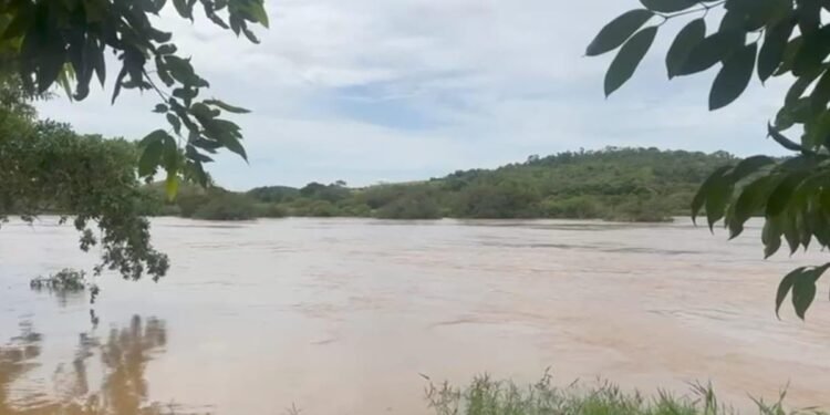 Rio Pomba atinge cota de alerta e intensificação de monitoramento em Cambuci
