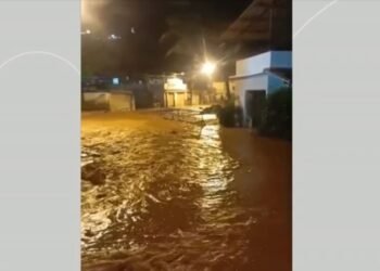 Forte chuva causa alagamentos, quedas de árvores na Região Serrana
