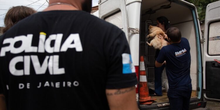 Prefeitura fecha ponto de venda ilegal de animais em Volta Redonda