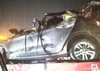 Árvore cai em cima de carro e deixa três mortos na Rodovia Rio-Santos, em Angra dos Reis