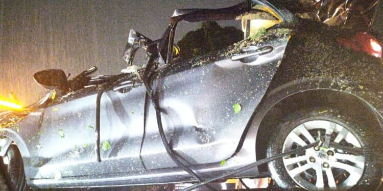 Árvore cai em cima de carro e deixa três mortos na Rodovia Rio-Santos, em Angra dos Reis