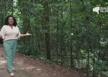 Vídeos do g1 e TV Bahia – domingo, 8 de março de 2026