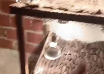 Operação contra a pesca ilegal e venda de animais marinhos prende dois homens em Angra dos Reis