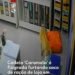 VÍDEO: Cadela ‘Caramela’ é flagrada furtando saco de ração de loja em Barra Mansa