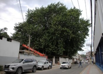Av. Presidente Kennedy terá trecho interditado para manutenção na rede elétrica e corte de árvore, em Barra Mansa