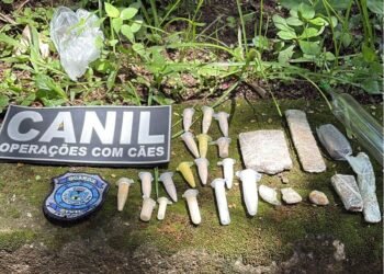 Droga e réplica de arma são encontradas por cães farejadores em Petrópolis