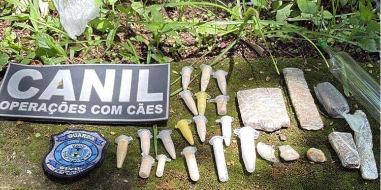 Droga e réplica de arma são encontradas por cães farejadores em Petrópolis