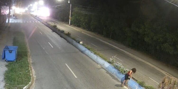 Mulher é flagrada arrancando plantas de canto em Búzios; VÍDEO