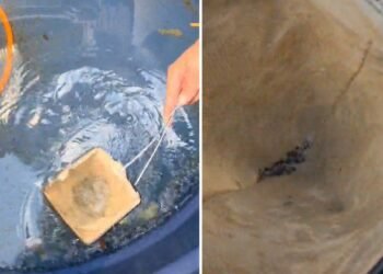 Casos de dengue aumentam 330% em Miracema; prefeitura prepara arrastão de limpeza nos bairros mais afetados