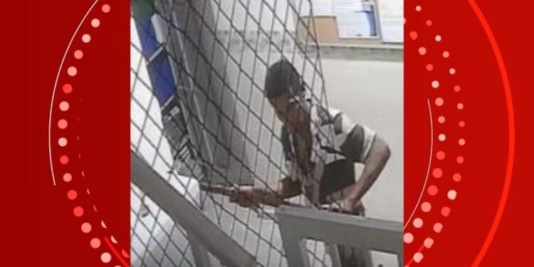 Instituição de apoio a crianças com autismo invadida e furtada na BA