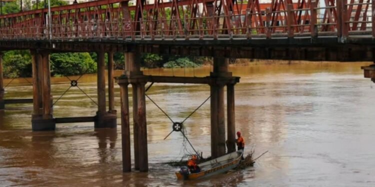 Defesa Civil limpa pilares de pontes após cheia do Rio Paraíba do Sul em Campos