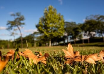 Confira a previsão do tempo em cidades do RJ com a chegada do Outono