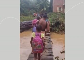 Moradores denunciam ponte de madeira em estado precário em Rio Preto, Campos