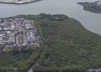 MP recomenda que a prefeitura não autorize a construção de condomínio que prevê corte de quase 900 árvores na Barra da Tijuca