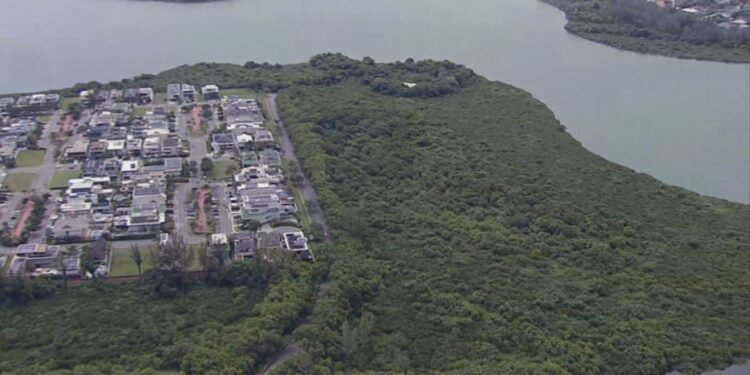 MP recomenda que a prefeitura não autorize a construção de condomínio que prevê corte de quase 900 árvores na Barra da Tijuca