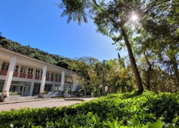 Dia da Mulher: “ProtagonistAs” reúne debates e atividades em Petrópolis