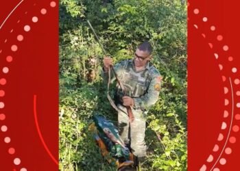 PM Ambiental Prende Suspeito de Caça Ilegal e Apreende Arma no Norte de Minas