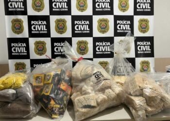 Polícia desarticula esquema de fabricação e venda de cigarros de palha falsificados em MG