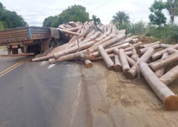 Carreta com rolos de fumo tomba no trevo de Bom Jesus e motorista fica ferido em Itaperuna
