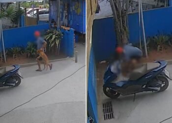 Maus-tratos a animais em Búzios: homem é flagrado espancando cadela