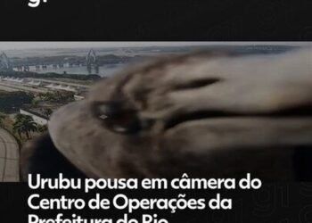 Urubu pousa na câmera do COR Rio; ‘Apoio animado’, brinca órgão da prefeitura