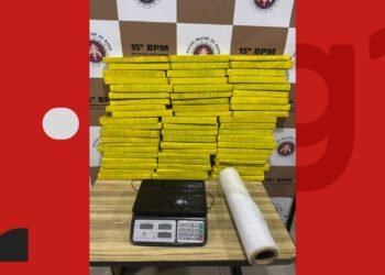 Cerca de 60 kg de drogas são apreendidos no sul da Bahia