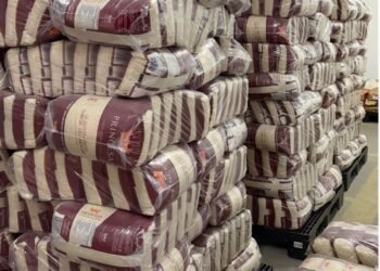 Vereador denuncia possível superfaturamento na merenda em Petrópolis