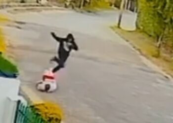 Vídeo mostra assaltante arrancando celular de mulher em Teresópolis