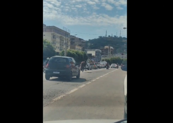 VÍDEO: Cavalo solto causa apreensão na avenida movimentada de Itaperuna