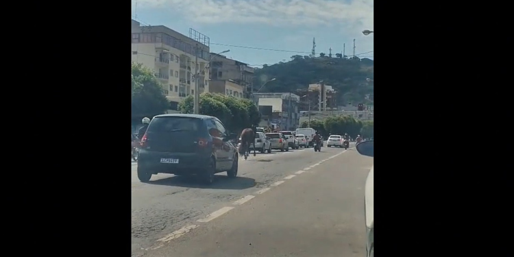 VÍDEO: Cavalo solto causa apreensão na avenida movimentada de Itaperuna