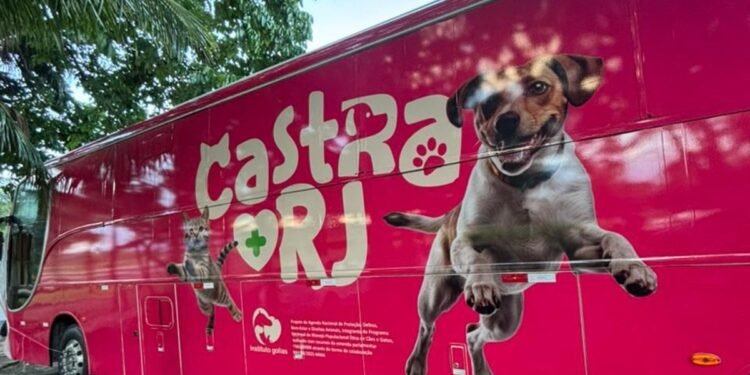 Cabo Frio recebe programa gratuito de castração para cães e gatos