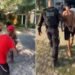 Presos com drogas em Búzios são suspeitos de ataque a pauladas